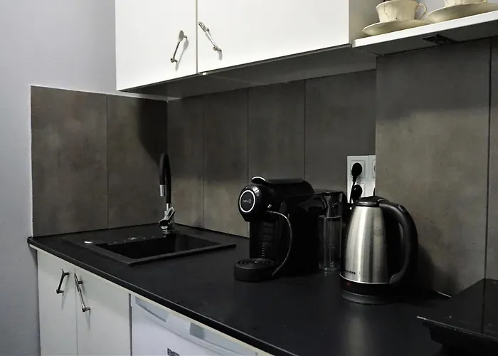 Apartlis Old Town Stare 公寓 波兹南